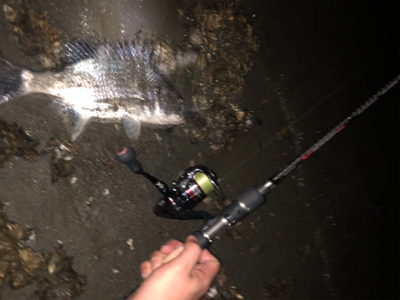 いつもの場所でいつもの釣り方