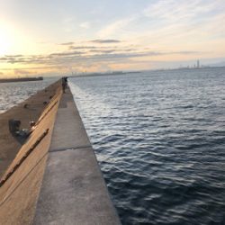 久しぶりのムコイチ