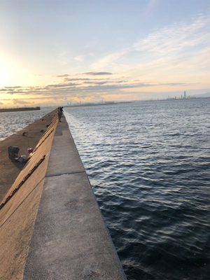 久しぶりのムコイチ