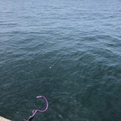 調子に乗って…釣り仲間と