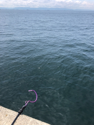 調子に乗って…釣り仲間と