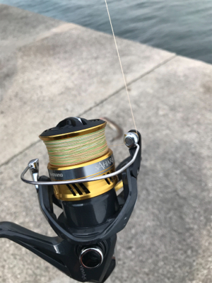 本日もエソなり。