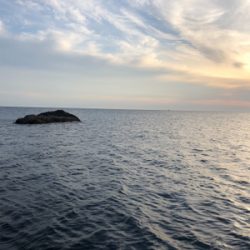 初春アオリで自己ベスト!(^◇^)