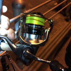 大阪湾奥アジング 舞洲で良型アジ