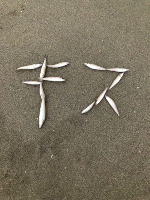 キス釣り楽しい！