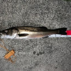 バチ抜けやっときたー！！！