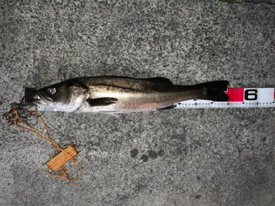 バチ抜けやっときたー！！！