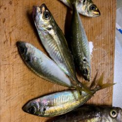 時間を忘れるくらい楽しかった