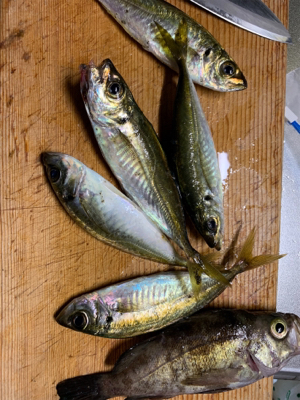 時間を忘れるくらい楽しかった