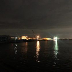 バチ抜け?シーバス