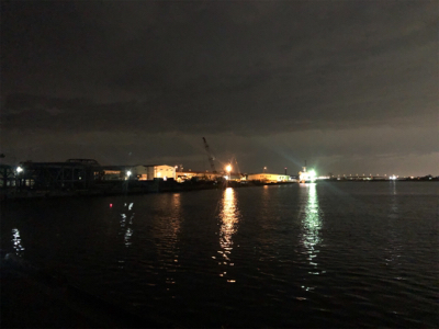 バチ抜け?シーバス