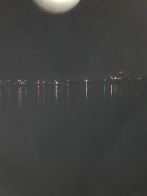 アジング最高だ！