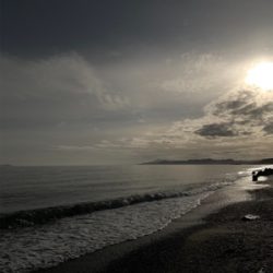 フラットフィッシュ釣果！