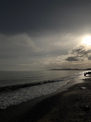 フラットフィッシュ釣果！