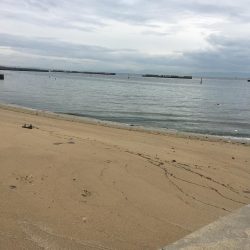 キス釣りのつもりが…渋かった