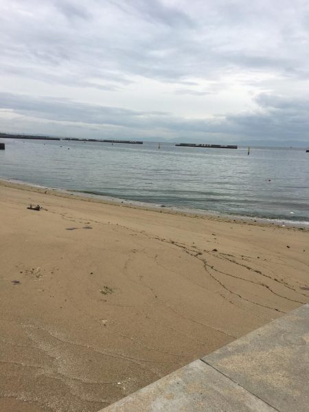 キス釣りのつもりが…渋かった