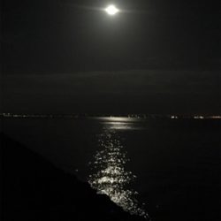 ライトゲーム満喫♩