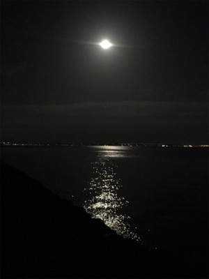 ライトゲーム満喫♩