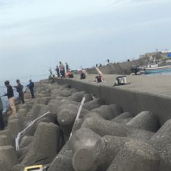 ナイトタケノコメバリングと朝まずめ青物!