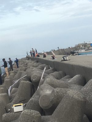 ナイトタケノコメバリングと朝まずめ青物!