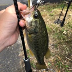 ちょこっと釣り