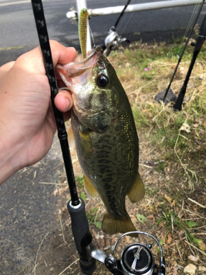 ちょこっと釣り