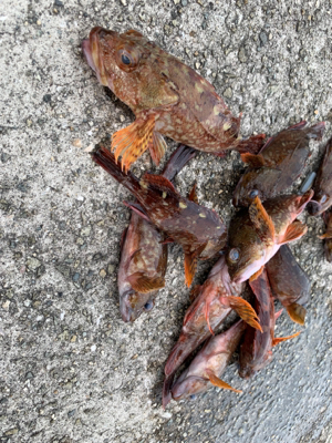 令和初の太刀！