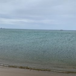 フラットフィッシュ釣果！