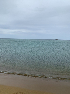 フラットフィッシュ釣果！