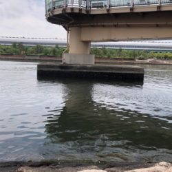 散々からの最高!