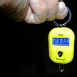 キロオーバー2匹