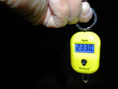 キロオーバー2匹