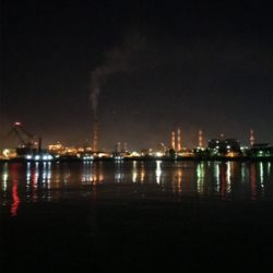 やっと春コウイカGET (^^)/