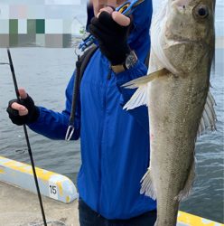 釣って釣らせて( ͡° ͜ʖ ͡°)