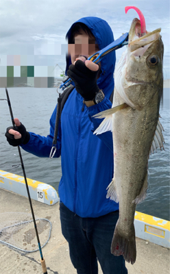 釣って釣らせて( ͡° ͜ʖ ͡°)