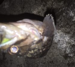 本日2回目の場所