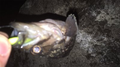 本日2回目の場所