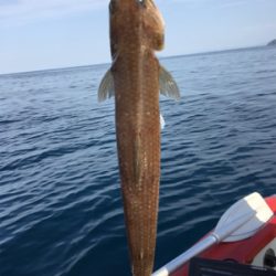 丹後マイボート釣行