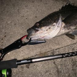 リズムウェーブ