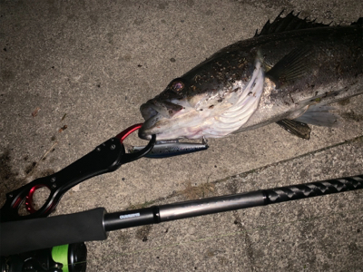 リズムウェーブ