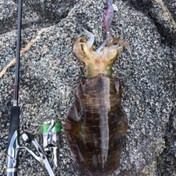 自己記録更新！2kgオーバーGET