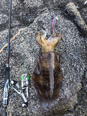 自己記録更新！2kgオーバーGET