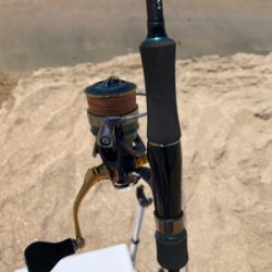 ちょい投げでキス