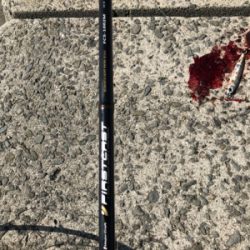 デッカいヤツ〜