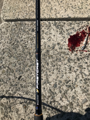 デッカいヤツ〜