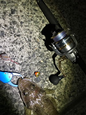 初ショアテンヤ