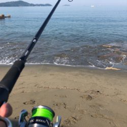 シーバスロッドでキス釣り