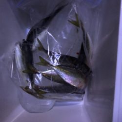 フロートアジング