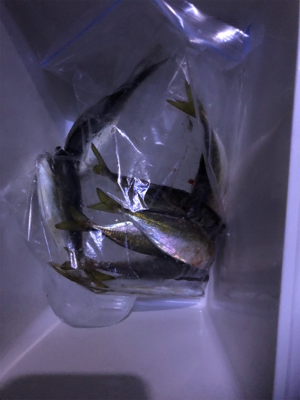 フロートアジング