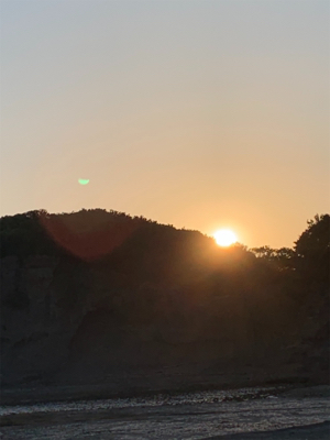 やっと、春イカ！